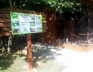 *Пансионат "Фея SUNCLUB Resort & Spa 3*"