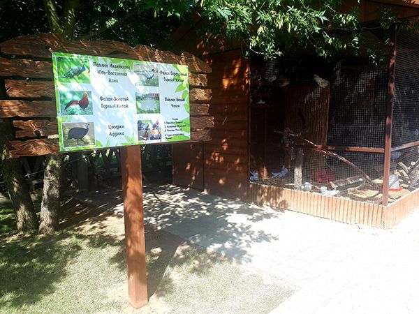 *Пансионат "Фея SUNCLUB Resort & Spa 3*"